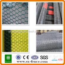 Hexagonal wire mesh fence netting\poultry wire mesh(ISO9001:2008 professional manufacturer)